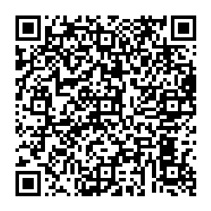 估计高林是没办法当上云达不莱梅的首发前锋的――克拉什尼奇是在冬歇期结束之后才查出患了睾丸癌的二维码生成