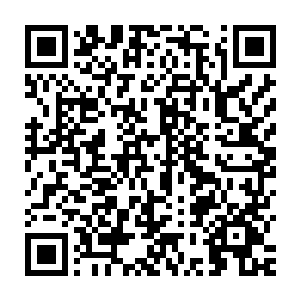 伴随着一股恐怖的充满了无尽的威严和毁灭的气息从上面散发出来二维码生成