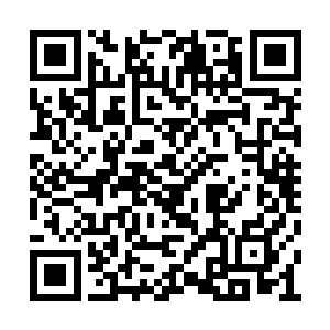 伴随着一股恐怖的暴虐的气息也从上面散发出来二维码生成