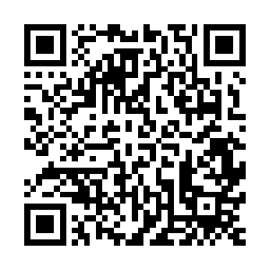 伴随着一阵轰隆声引起如此影响的主人便出现在了杨晨的面前二维码生成