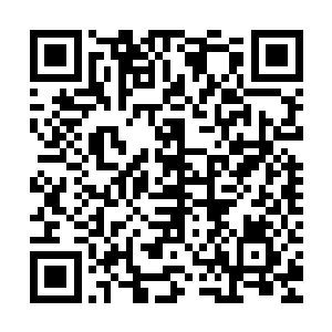 伴随着身上的气势的提升速度比之前的时候瞬间提升了十倍不止二维码生成