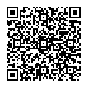 伴随这位血族王子来东方游历的时候被一些开路不明的家伙给暗算才落得如此狼狈二维码生成