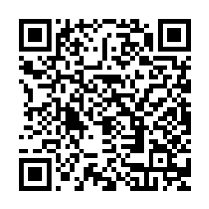 伸出手肉嘟嘟的狐狸手有模有样的在我那枣木剑上画了一道咒符二维码生成