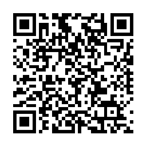 伸出白玉雕琢一般的手指轻轻点了几下桌面上的灵药名二维码生成