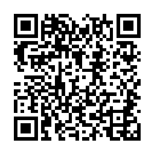 伸手就把不客气的把他那张不正经的脸给拨了回去二维码生成