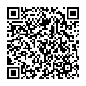 伸手拿过那支特制专属药瓶开始快速的一瓶一瓶把浮灵丹倒回去里面二维码生成