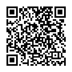 似乎不愿相信徐成竟然会如此心狠手辣地将自己击杀二维码生成