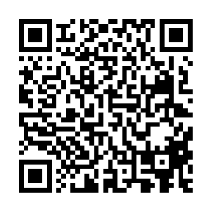 似乎也不记得他昨晚踩死了所谓的啼血杜鹃等一大堆的名贵植物二维码生成