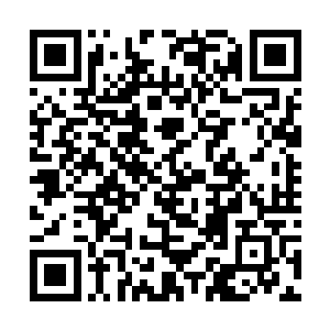 似乎也不过是秦方的随意一击罢了……可是……嘎嘣二维码生成
