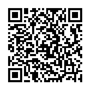 似乎也发现我们根本没法子在这一界中逃过对方的抓捕二维码生成