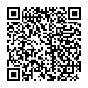 似乎他也不确定自己到底应该看谁――他一直在寻找的雨果就站在面前二维码生成