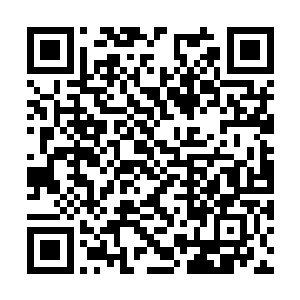 似乎像是菊花又再一次中箭了似的……这一挨了箭二维码生成