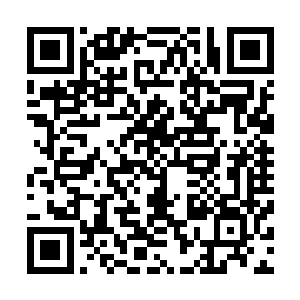 似乎半点也没在意自己已经成为了大殿当中众人瞩目的焦点二维码生成