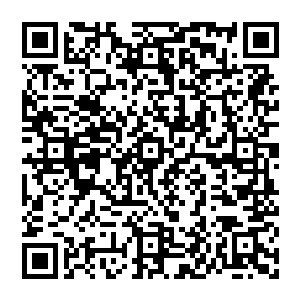 似乎受到了什么克制　当镇世铜棺与乾坤圈碰撞的刹那　它便轰然碎开　思量间　心头顿时松了一口气二维码生成