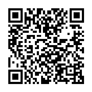 似乎只有用沉默这种另类的方式才能表达自己对飞鸟与鱼的感动二维码生成