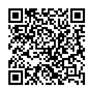 似乎只要严开明一声令下他们就会发动攻击将楚暮群杀二维码生成