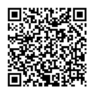 似乎唯一的可能就是捡到了一枚海妖死亡后留存下来的海妖魔晶……二维码生成