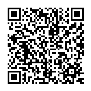 似乎因为连续发动了数次攻击都没有击杀李峰这只蚂蚁而感到愤怒二维码生成