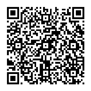 似乎在回击卫神的质疑我身上残破的战甲瞬间恢复如初战甲上血凤盘旋对着卫神愤怒地啼叫二维码生成