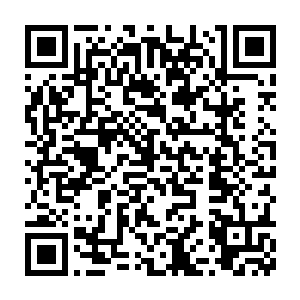 似乎在思考秦宇这么一个新朋友值不值得它再多拿一份自己的口粮出来二维码生成