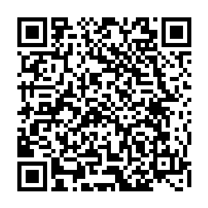 似乎在我的记忆中自从这两小东西出生之后我们就很少有机会这么样在一起了二维码生成