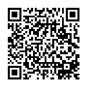 似乎在防备着他们也会像妖仙盟和冰神殿的那些附庸宗门势力般二维码生成
