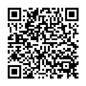 似乎完全就是某些身体器官的不良反应……可越是这样的诡异二维码生成