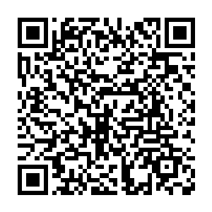 似乎完全没有看到前面的那一排排的密密麻麻有如雨点一般的子弹一般二维码生成