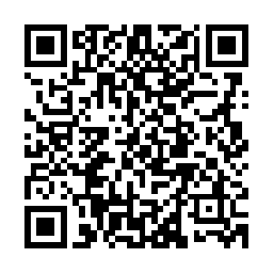 似乎对于慕容仙儿能够与血罗刹较量的速度流露出几分不可置信二维码生成