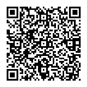 似乎就要成为魔族和三眼会在彻底占领布莱克森人族走廊北方之前的最后一个小波折二维码生成