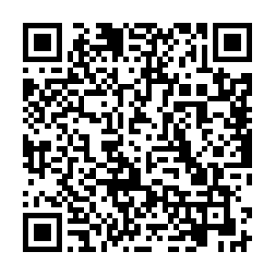 似乎并没有什么太严重的伤势……刚才他已经卸掉了黑水玄蛇大部分的冲击力二维码生成