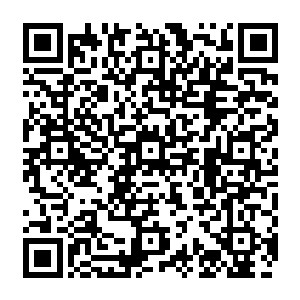 似乎想要表达点什么意思……而它的目标也是时不时的盯着变异野狗的那一具尸体二维码生成