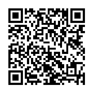 似乎整栋楼都被这样一次可怕的劲气撞击震颤了起来的二维码生成