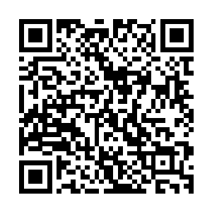 似乎有着强者将毕生的修为全部都封印在了他的丹田气海深处二维码生成