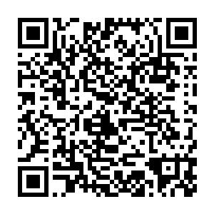 似乎觉得这一击即便不能伤到杨开也绝对会让他手忙脚乱地应付一阵二维码生成