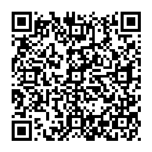 似乎这个毫无皇家威仪给一个布衣女子低头认错的男子不是他们的主子九皇子殿下二维码生成