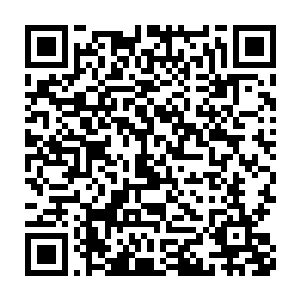 似乎这棵数百米高的巨树就是用一块极品翡翠雕琢的一般…微风吹來二维码生成