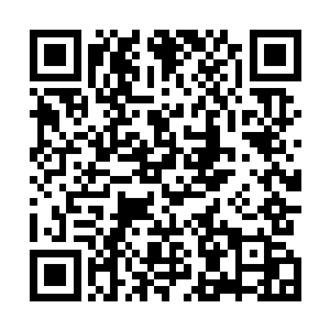 似乎这身颇有几分古风的衣服就是专为他一人设计的一样二维码生成