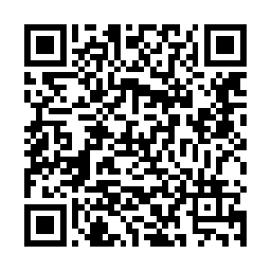 似乎这里出了杨晨和林落两个以外没有其他任何的生命二维码生成