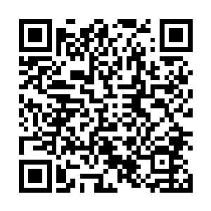 似乎连扔出去会有怎样的轨迹怎样的效果都能一清二楚二维码生成