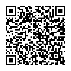 似插得很牢……待会和公子说一下……他对天上掉下来的东西表示过兴趣二维码生成