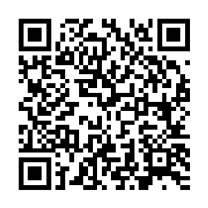 似是已经从另一边的出口离开了那被彩色圆柱挡住的另一半房间二维码生成
