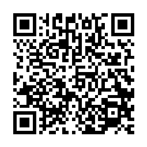 似是黑暗冰冷中双手呵护保持的火苗……任何珍贵的文明光辉二维码生成