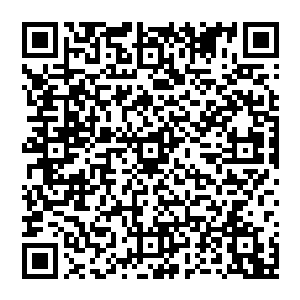 但……但他们……却都被我给拉进箱子里了……里面好黑……有……好多人……他们都碎了……变成了……二维码生成