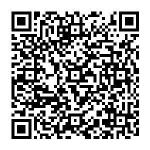 但……如果你的技能不是这种连痛楚都能屏蔽的数码流化的话……让你很是难受一阵二维码生成