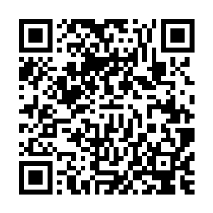 但……看了眼怀里连出呼出的气息似乎都带着淡淡芳甜的容锦二维码生成