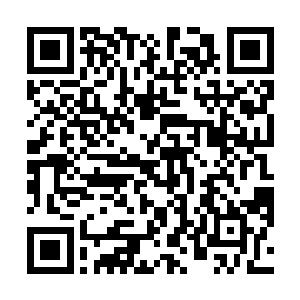 但一个三等黑暗子爵的半数精血似乎真的就此变成虚无二维码生成