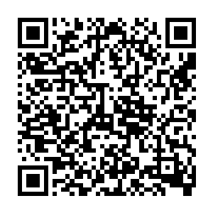 但一想到楚暮仅仅三星剑王就掌握了许许多多九星剑王也无法掌握的剑力二维码生成