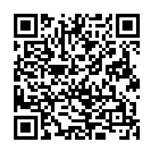 但一枚中品世界果却让月荷在短短数月功夫就晋升了一品二维码生成