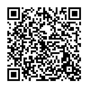 但一直不知道是不是真的……因为爷爷已经骗过我们太多次了……二维码生成